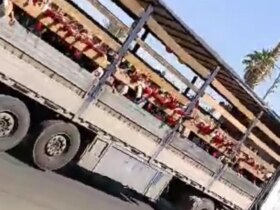 ماجرای انتقال دانش آموزان جهرمی با کامیون های دام چه بود؟ 9 ماجرای انتقال دانش آموزان جهرمی با کامیون های دام چه بود؟