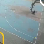 مرگ تکان دهنده ورزشکار جوان آویزان شده از حلقه بسکتبال