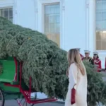 ملانیا ترامپ از درخت کریسمس در کاخ سفید استقبال کرد