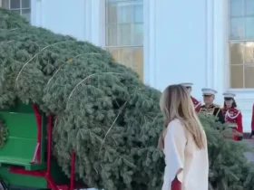 ملانیا ترامپ از درخت کریسمس در کاخ سفید استقبال کرد