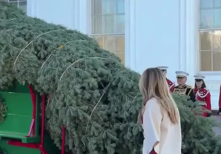 ملانیا ترامپ از درخت کریسمس در کاخ سفید استقبال کرد