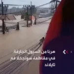 نجات از سیل در تایلند با کمک کابل های برق