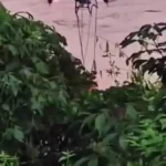 نجات مردی که در سیل در ویتنام گرفتار شده بود با کوادکوپتر