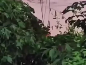 نجات مردی که در سیل در ویتنام گرفتار شده بود با کوادکوپتر