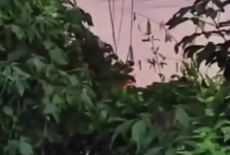 نجات مردی که در سیل در ویتنام گرفتار شده بود با کوادکوپتر