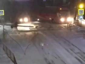 نجات معجزه آسای رهگذران پس از برخورد اتوبوس با تیر برق