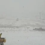 نمایی دیگر از بارش برف پاییزی امروز در تهران