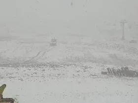 نمایی دیگر از بارش برف پاییزی امروز در تهران 11 نمایی دیگر از بارش برف پاییزی امروز در تهران