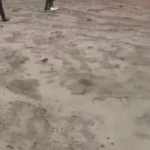 هواپیمای حامل وزیر معدن کنگو آتش گرفت