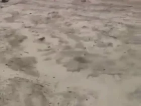 هواپیمای حامل وزیر معدن کنگو آتش گرفت 9 هواپیمای حامل وزیر معدن کنگو آتش گرفت