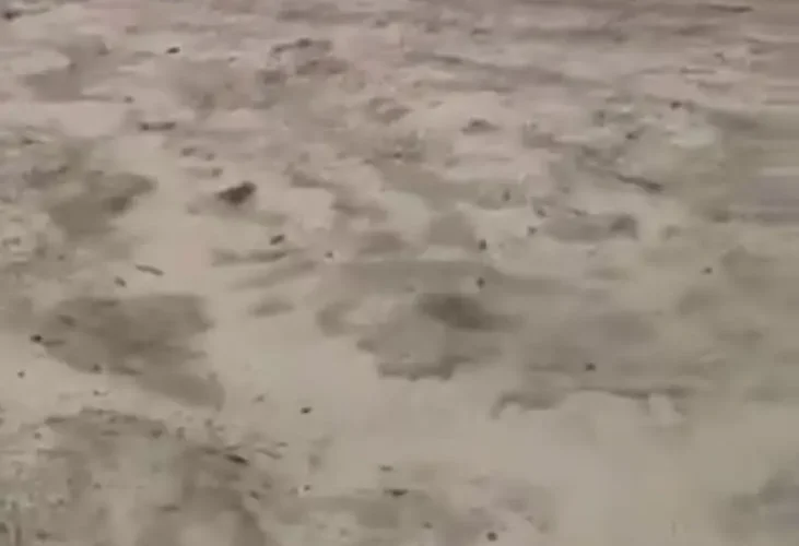 هواپیمای حامل وزیر معدن کنگو آتش گرفت