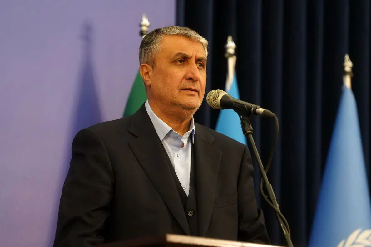 وضعیت رئیس آژانس انرژی اتمی/فشار سیاسی بر آژانس منجر به عدم پیشرفت می شود 1 وضعیت رئیس آژانس انرژی اتمی/فشار سیاسی بر آژانس منجر به عدم پیشرفت می شود