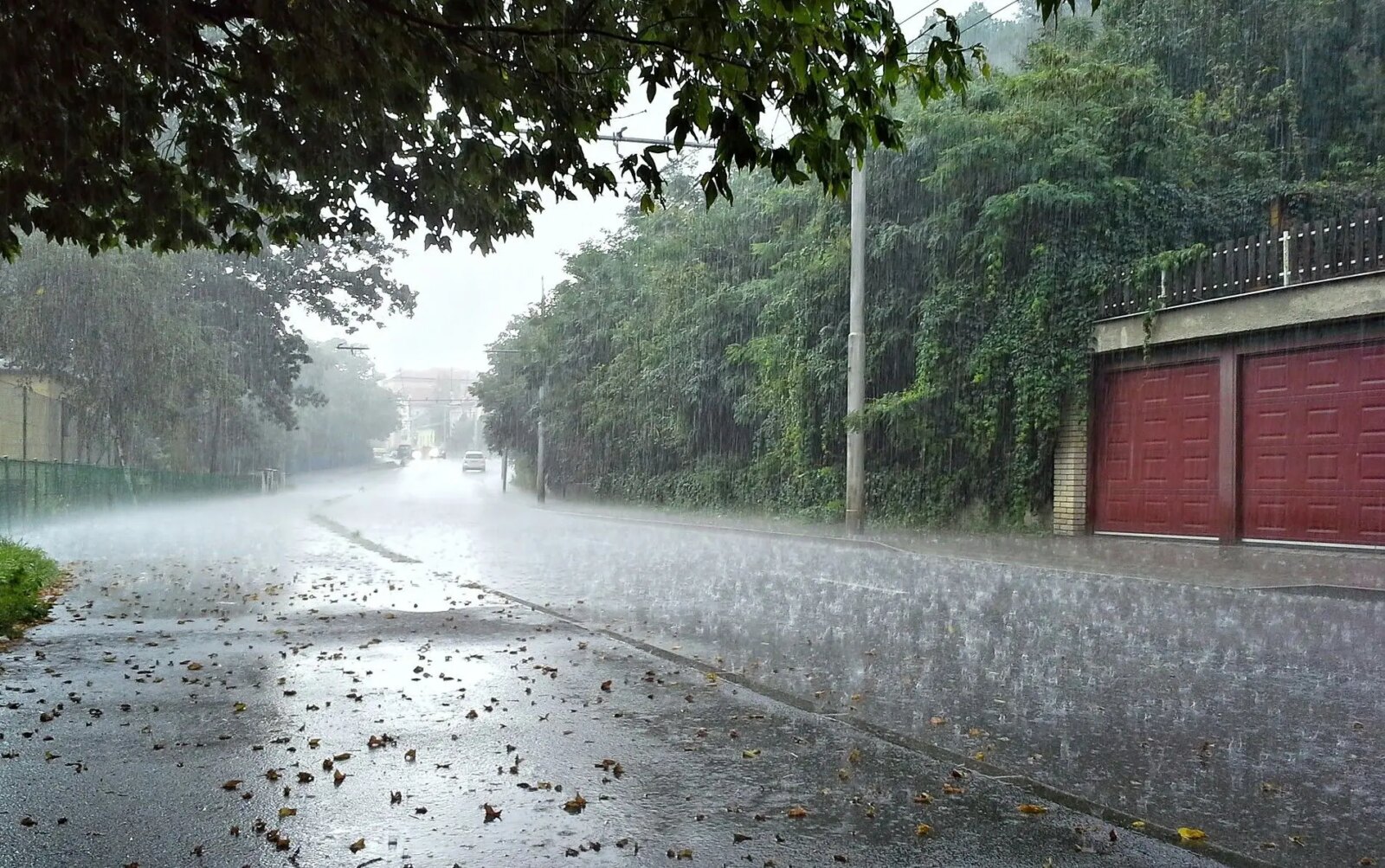 وقتی باران در سال 1404 شروع می شود هیجان زده نشوید/ سیل می تواند زیرساخت ها را از بین ببرد 1 وقتی باران در سال 1404 شروع می شود هیجان زده نشوید/ سیل می تواند زیرساخت ها را از بین ببرد