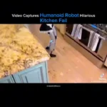 ویدیوی محبوبی که ربات انسان نما آشپزخانه را ویران می کند!