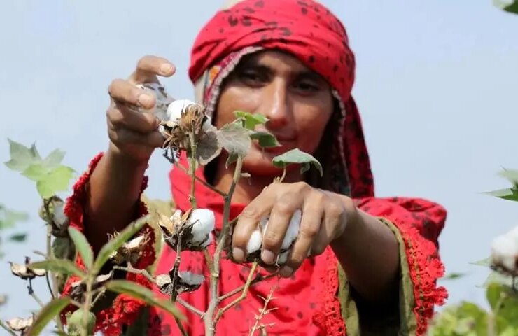 پروژه های TİKA در کشاورزی: ​​آیا تولیدات یا بدهی های کشاورزان محلی در حال افزایش است؟