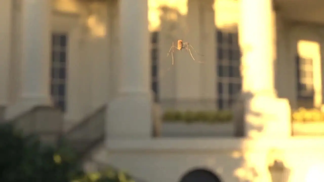 پهپاد 40 گرمی شکار پشه وارد بازار شد 1 پهپاد 40 گرمی شکار پشه وارد بازار شد