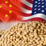 چگونه "سویا" توانست آمریکا و چین را به پای میز مذاکره بکشاند؟