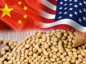 چگونه "سویا" توانست آمریکا و چین را به پای میز مذاکره بکشاند؟