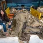 کشف بحث برانگیز: یانگ تی رکس یک گونه دایناسور جدید است!