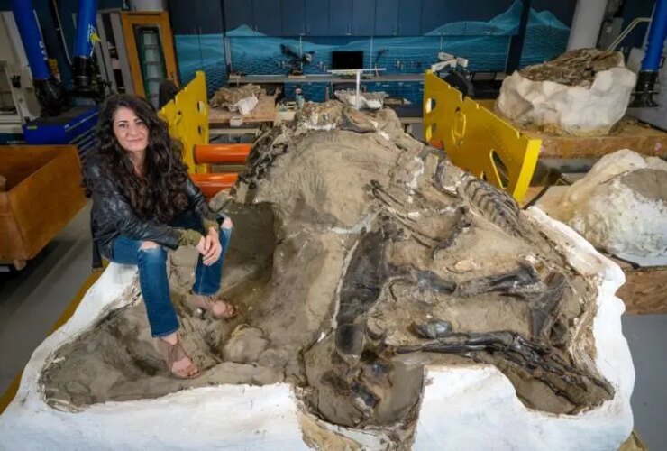 کشف بحث برانگیز: یانگ تی رکس یک گونه دایناسور جدید است!