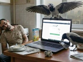 کلاغ جمعه سیاه/ این سایت ها مردم را مسخره کردند! 9 کلاغ جمعه سیاه/ این سایت ها مردم را مسخره کردند!