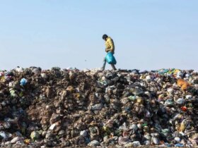 تصاویر; بحران آب و خاک در قلب خراسان