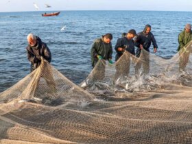 تصاویر; فلای ماهیگیری؛ سنت دیرینه ماهیگیران دریای خزر