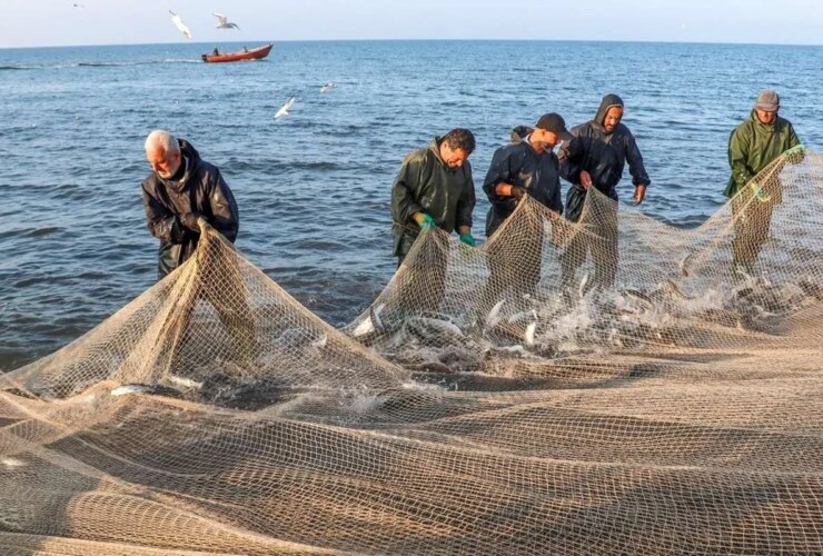 تصاویر; فلای ماهیگیری؛ سنت دیرینه ماهیگیران دریای خزر 34 تصاویر; فلای ماهیگیری؛ سنت دیرینه ماهیگیران دریای خزر