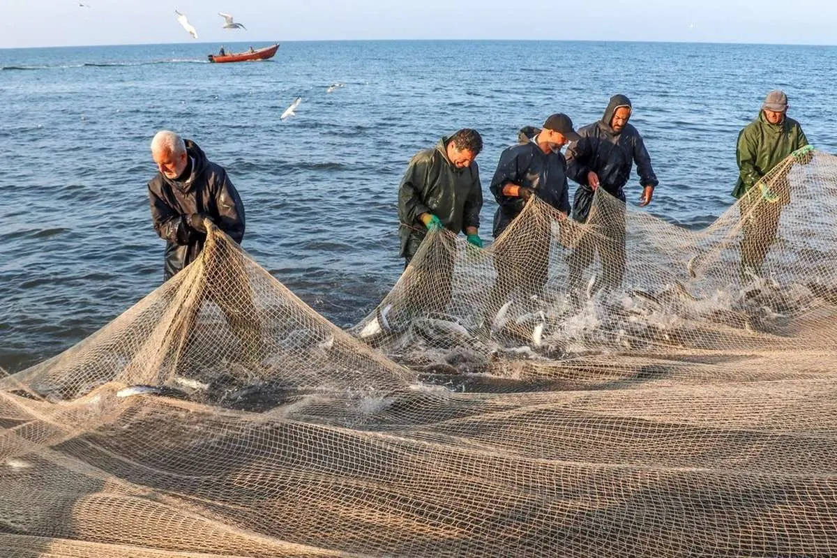 تصاویر; فلای ماهیگیری؛ سنت دیرینه ماهیگیران دریای خزر 1 تصاویر; فلای ماهیگیری؛ سنت دیرینه ماهیگیران دریای خزر