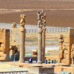 صالحی امیری: