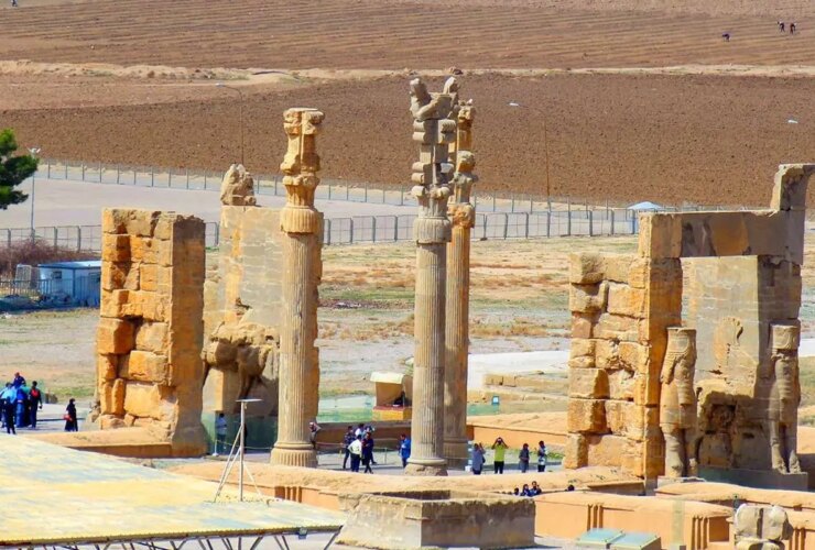 صالحی امیری: