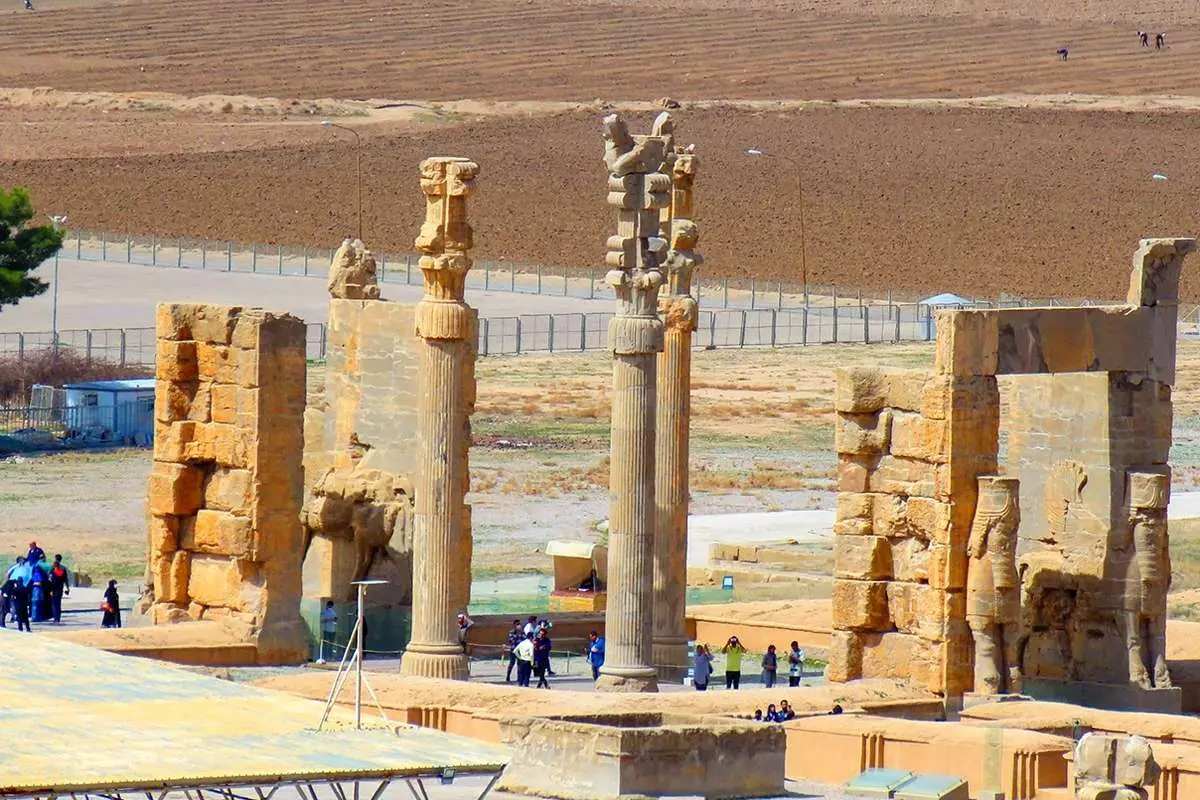 صالحی امیری: