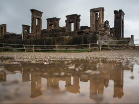 اخبار صالحی امیری پرسپولیس