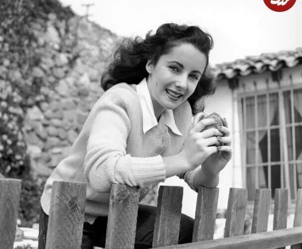 عکس/ الیزابت تیلور 16 ساله در حال خوردن همبرگر; سال 1326