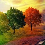 هوای سرد و خشک پاییز چالش های جسمی و روحی را به همراه دارد