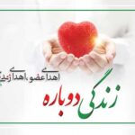 اهدای عضو پسر معاون رئیس جمهور جان 4 بیمار را نجات داد