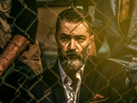 دفاع صریح علیرضا داودنژاد از پارسا پیروزفر: درد تو درد همه سینماهاست