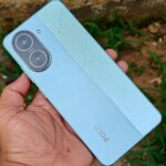 گیاه دارویی