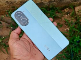 گیاه دارویی