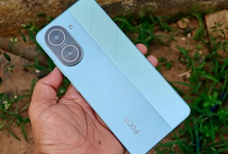 گیاه دارویی