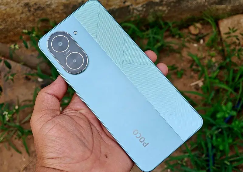 گیاه دارویی