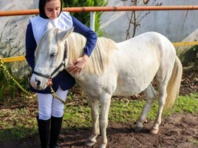 تصاویر; جشنواره زیبایی اسب کاسپین در انزلی