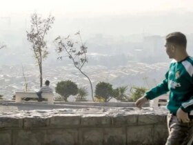 آلودگی هوا عملکرد ریه ها را کاهش می دهد