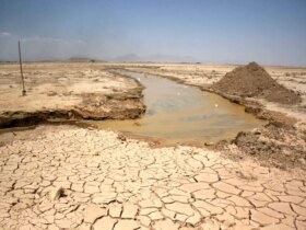 معاون وزیر نیرو: بحران آب به نقطه بی بازگشتی رسیده است 8 معاون وزیر نیرو: بحران آب به نقطه بی بازگشتی رسیده است