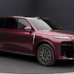 وویا تایشان 8