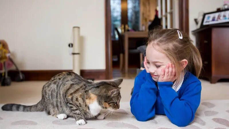 خطرات پنهان نگهداری از حیوانات در خانه 4 خطرات پنهان نگهداری از حیوانات در خانه