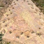 کشف دایناسور 150 میلیون ساله لنگ پا!