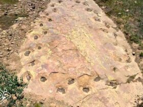 کشف دایناسور 150 میلیون ساله لنگ پا!