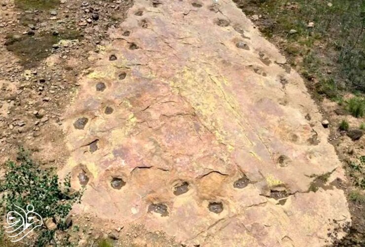 کشف دایناسور 150 میلیون ساله لنگ پا!