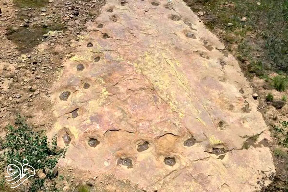 کشف دایناسور 150 میلیون ساله لنگ پا!